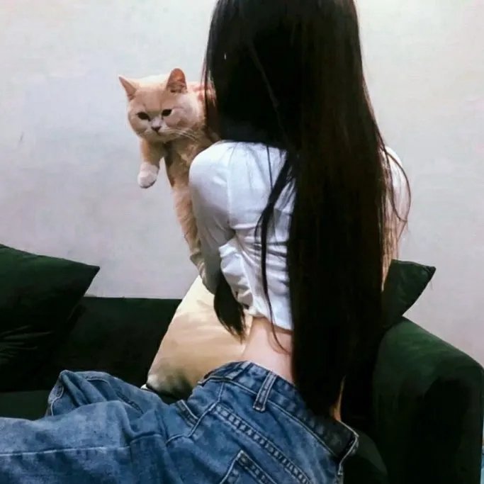 戆子记